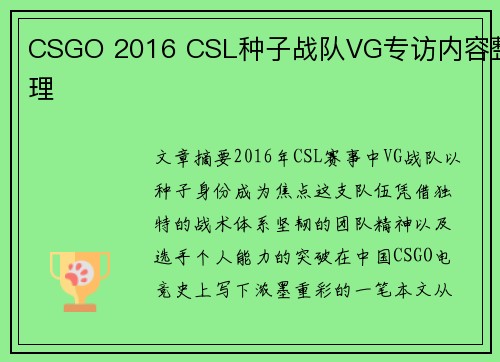 CSGO 2016 CSL种子战队VG专访内容整理
