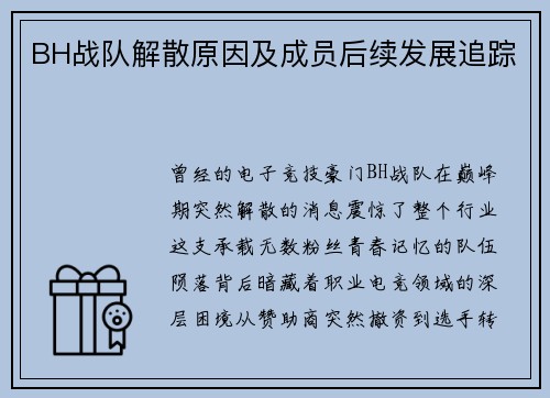BH战队解散原因及成员后续发展追踪